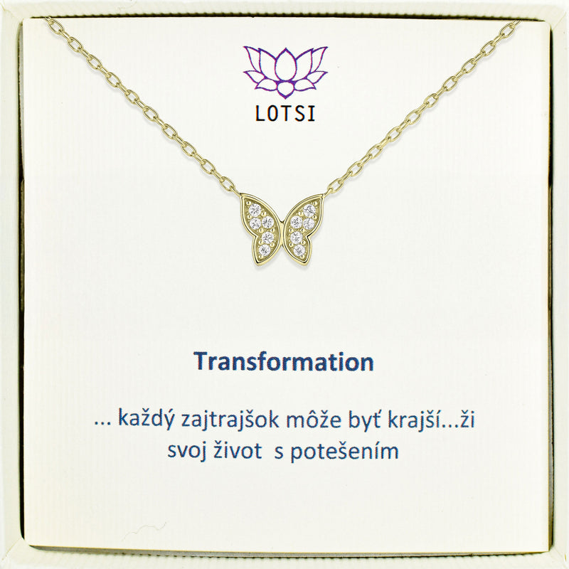 Strieborná retiazka Transformation