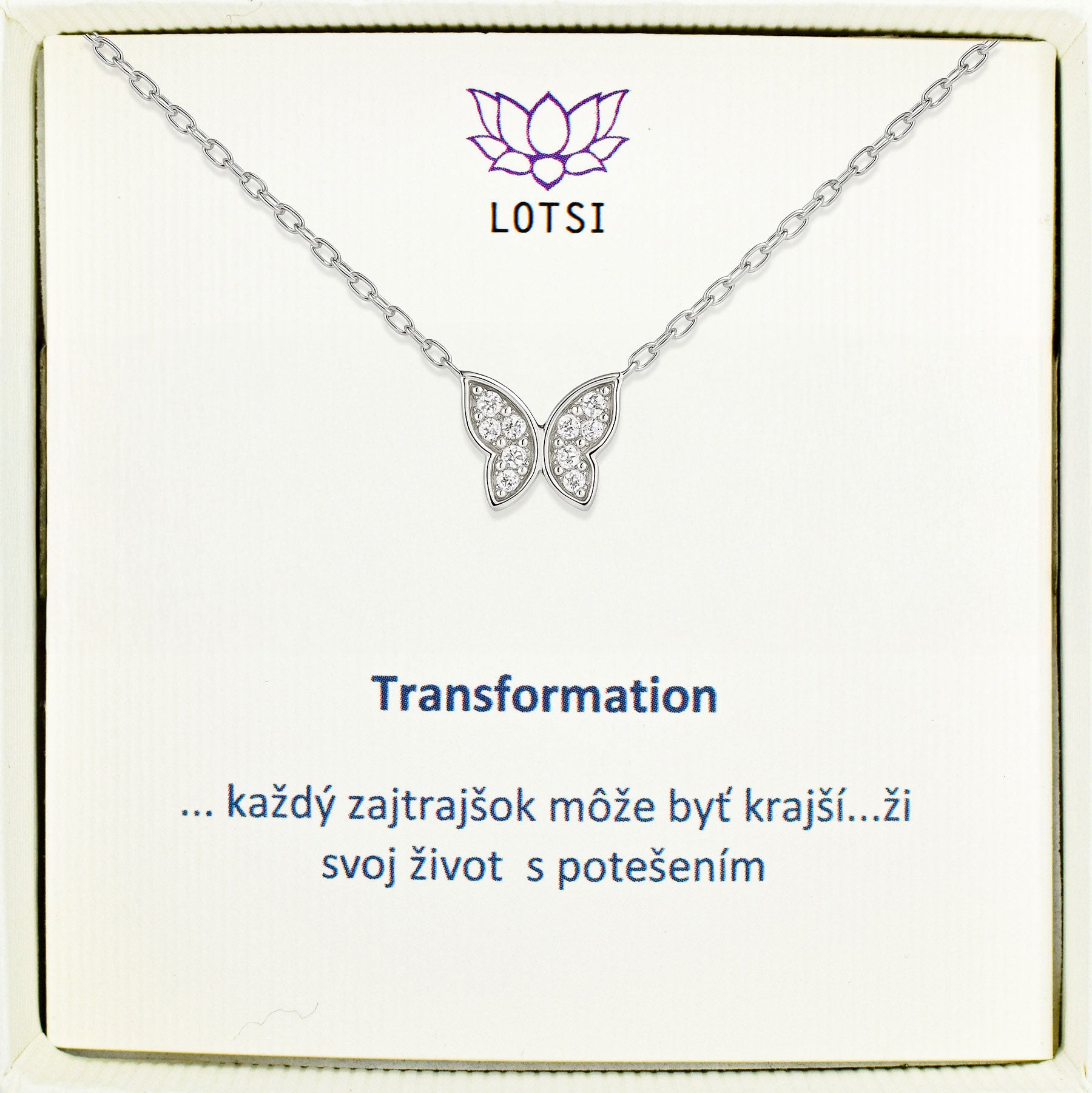 Strieborná retiazka Transformation